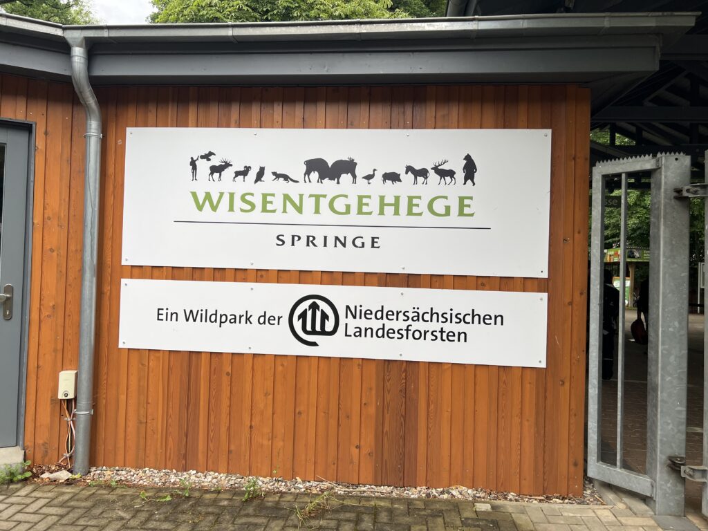 Read more about the article Besuch des Wisentgeheges Springe