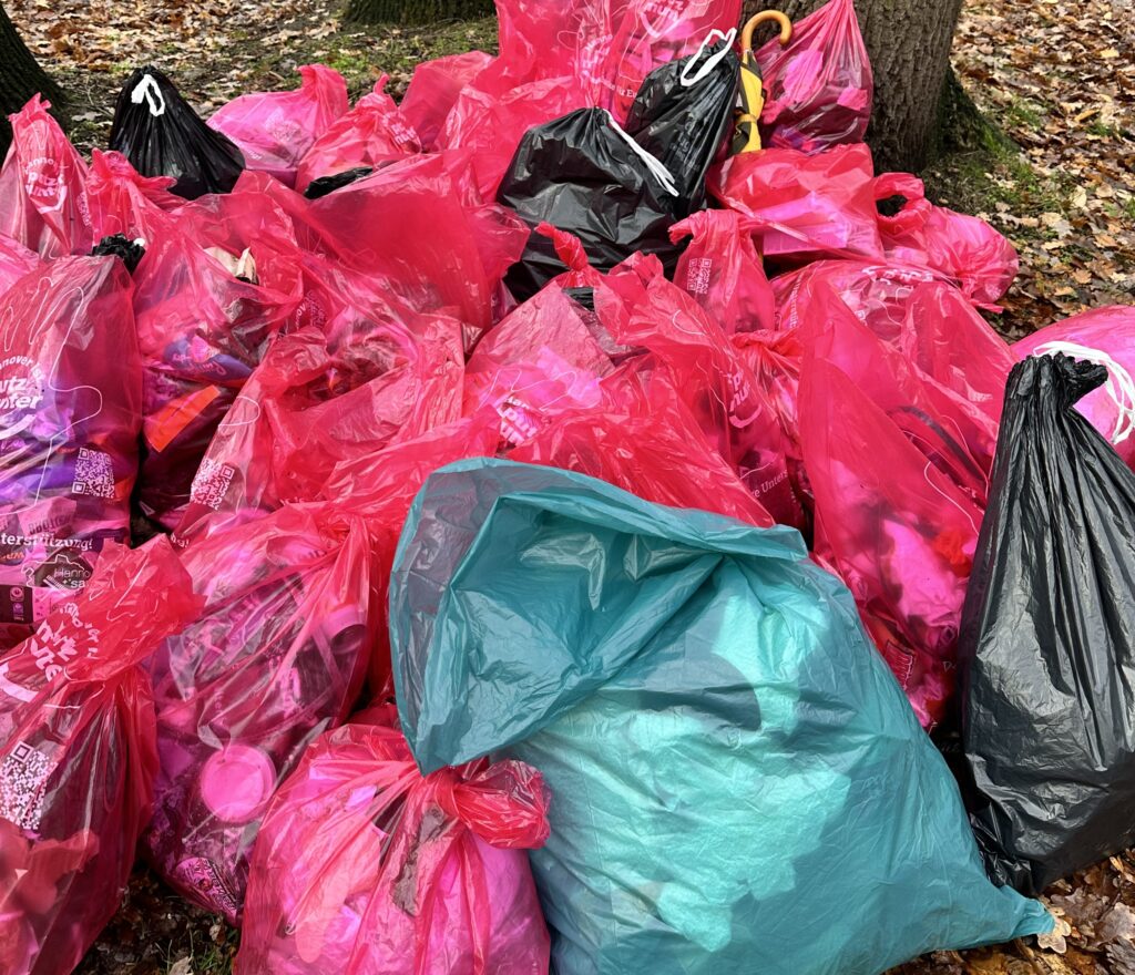 Read more about the article Frei für Umweltschutz