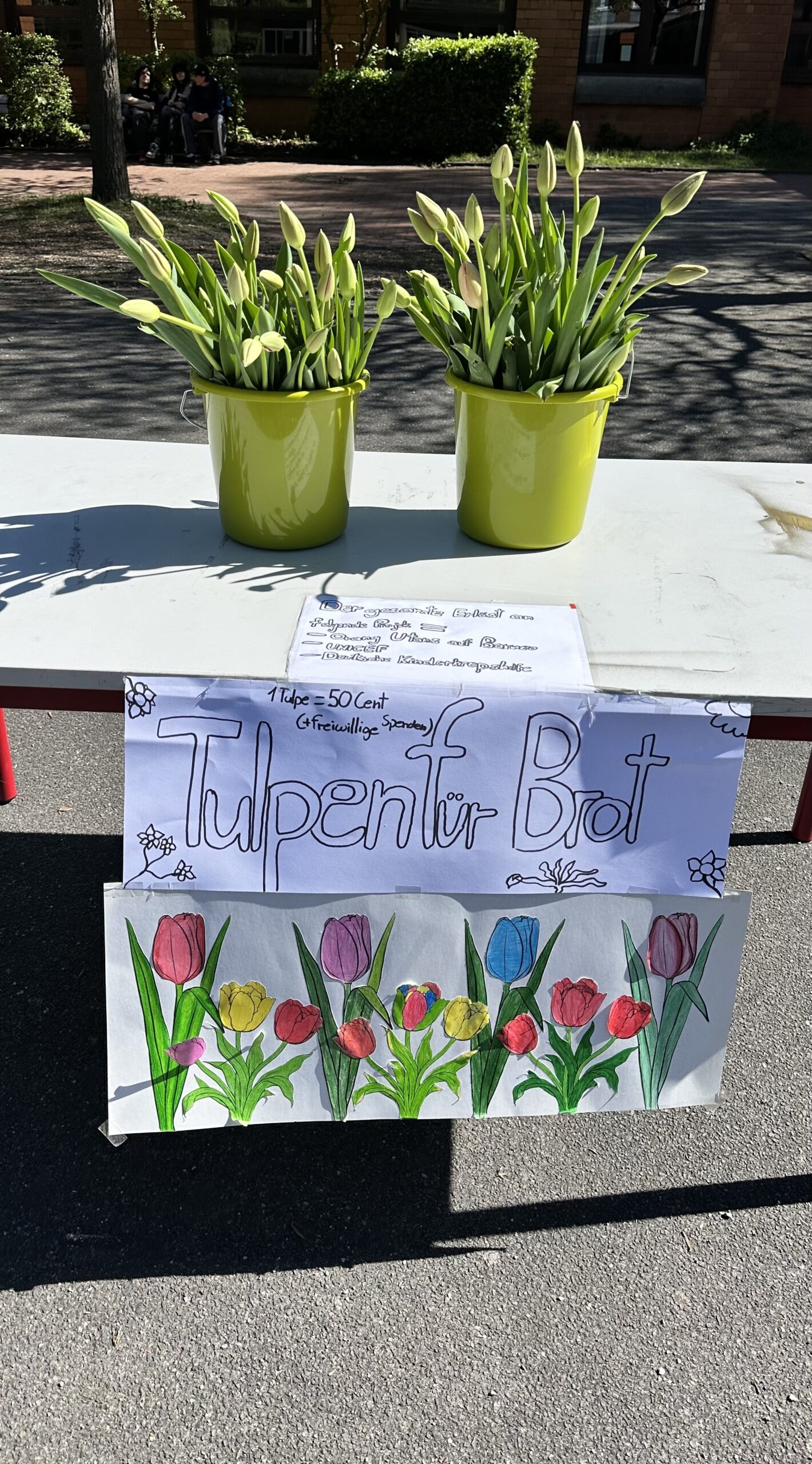 You are currently viewing Aktion „Tulpen für Brot“